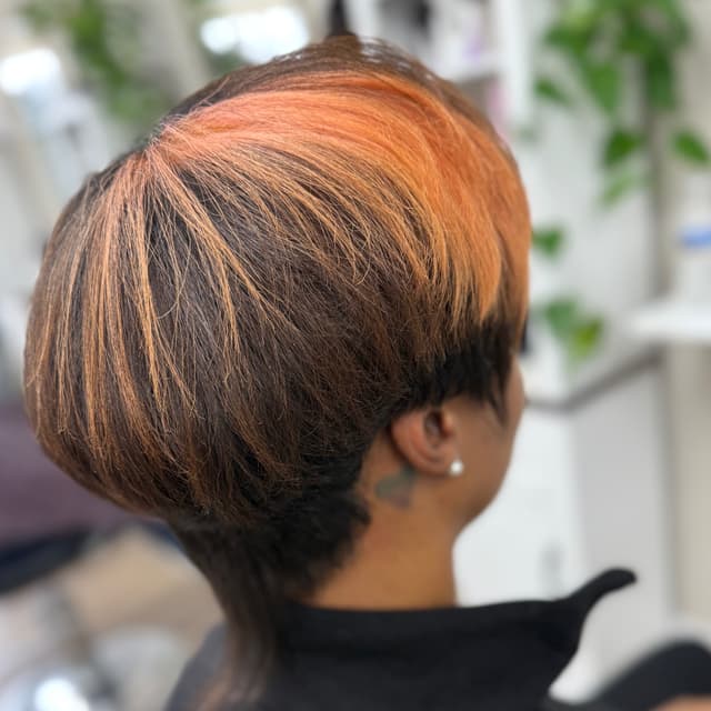Accent Foil w/Color & Cut Service at Morph Full Service Salon & Spa in Brookfield, WI